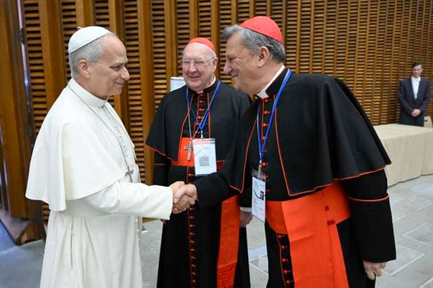 ITALY - POPE - VATICAN-2026 10 7 Italy, Rome, Vatican, 2026 10 7 Pope Leo XIV during the meeting with the presidents of the episcopal conferences from all over the world in Vatican . EDITORIAL USE ONLY - NO BOOKS Copyright: xVATICANxMEDIA xCatholicxPressxPhotox