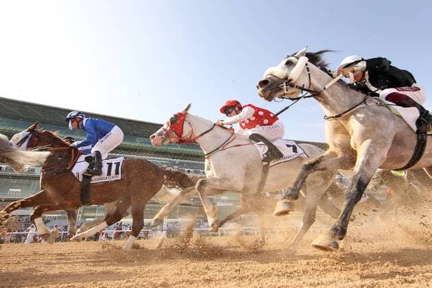 Sport Themen der Woche KW13 Sport Bilder des Tages 30.03.2019, Dubai, VAE - Horses and jockeys during the Dubai Kahayla Classic. Meydan racecourse. (Pferde, Jockeys, Pulk, Araberrennen, Sand, Sandbahn, Sandbahnrennen, Dirt, Dirttrack, Froschperspektive) 190330D522DUBAI_MEYDAN.JPG