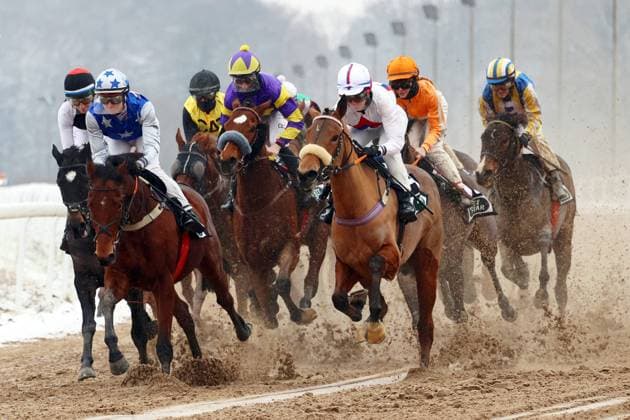 Bilder des Jahres 2023, Sport 01 Januar Sport Bilder des Tages 22.01.2023, Dortmund, Nordrhein-Westfalen, GER - Pferde und Jockeys im Rennen auf der Sandbahn. Galopprennbahn Dortmund-Wambel. (Pferde, Jockeys, Winter, Schnee, verschneit, Sandbahn, Dirt, Dirttrack, Galopp, Galopprennsport, Pferderennsport, Pferderennen, Galopprennen, Pulk, Bogen) 230122SG916DORTMUND.JPG