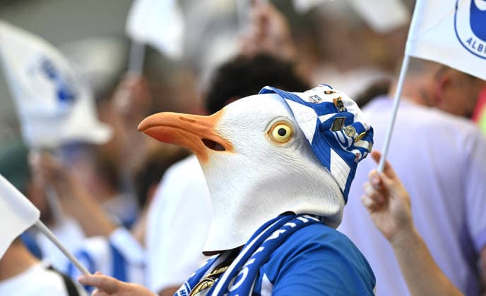 A Brighton Seagulls fan during the Premier League match between Brighton and Hove Albion and Manchester United, ManU at the American Express Stadium , Brighton , UK - 24th May 2026 Brighton & Hove Albion vs Manchester United Premier League Football, Amex Stadium, Sussex, United Kingdom - 24 May 2026Brighton Amex Stadium Sussex United Kingdom EDITORIAL USE ONLY No use with unauthorised audio, video, data, fixture lists, club league logos or live services. Online in-match use limited to 120 images, no video emulation. No use in betting, games or single club league player publications. . No mer Copyright: xSimonxDack TPI Shutterstockx 16895822ab