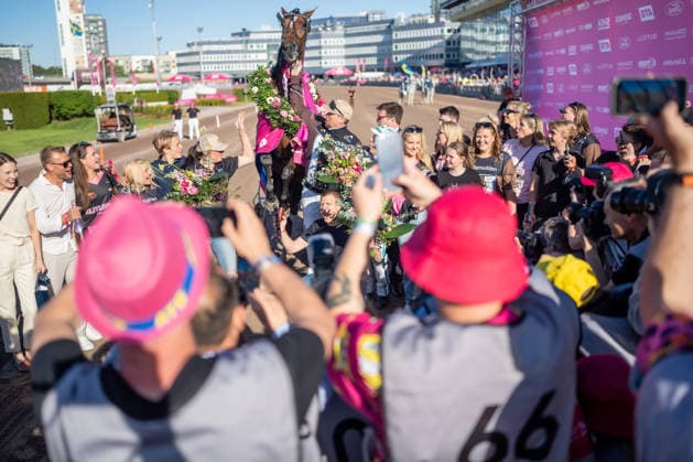 31.05.2026, Siegerehrung: Allegiant (7) mit Örjan Kihlström gewinnt den Elitloppet 2026 . Trabrennbahn Mariendorf. . (Allegiant, Örjan Kihlström, Elitloppet 2026, Sieg, Sieger, Siegerehrung) Copyright (c) Marius Schwarz, Fotograf,Mobil: 0049(0)176 28 311 040, Web: www.traberpixx.de, e-mail: info@traberpixx.de,NO MODEL RELEASE - bei Verwendung des Fotos ausserhalb journalistischer Zwecke bitte Ruecksprache halten - Foto ist honorarpflichtig!