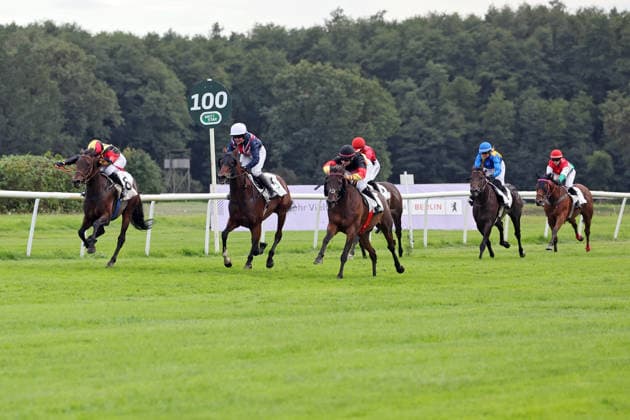 19.09.2026, Hoppegarten, Brandenburg, GER - Sky Emperor mit Nora Cronauer (schwarze Kappe) gewinnt. Galopprennbahn Hoppegarten. (Pferd, Jockey, Sky Emperor, Cronauer, Sieg, Ziel, Zielankunft, Fegentri) 260919D502HOPPEGARTEN.JPG