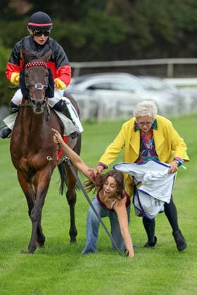 19.09.2026, Hoppegarten, Brandenburg, GER - Pferdefuehrerin Charlotte Dzubasz und Katja Warmbier stolpern bei der Abholung des Siegers Sky Emperor mit Nora Cronauer. Galopprennbahn Hoppegarten. (Pferd, Jockey, Sky Emperor, Cronauer, Sieg, Pferdepfleger, Dzubasz, Warmbier, stolpern, fallen, stuerzen, Fegentri) 260919D508HOPPEGARTEN.JPG