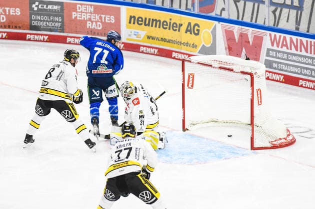 Straubing Tigers vs. Krefeld Pinguine, Eishockey, Deutsche Eishockey Liga, Penny DEL, 1.Spieltag, Saison 2026 2027, 23.09.2026 Nicholas Halloran (Straubing Tigers) ueberwindet Felix Bick (Krefeld Pinguine), Eishockey Herren, Deutsche Eishockey Liga, Penny DEL, 1.Spieltag, Saison 2026 2027 am 20.09.2026 im Eisstadion am Pulverturm, Straubing Tigers (blau) gegen Krefeld Pinguine (weiss)