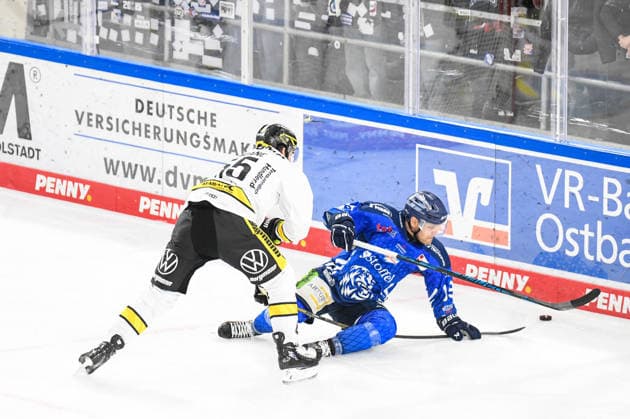 Straubing Tigers vs. Krefeld Pinguine, Eishockey, Deutsche Eishockey Liga, Penny DEL, 1.Spieltag, Saison 2026 2027, 23.09.2026 Tim Brunnhuber (Straubing Tigers) am Boden im Duell mit Davis Vandane (Krefeld Pinguine), Eishockey Herren, Deutsche Eishockey Liga, Penny DEL, 1.Spieltag, Saison 2026 2027 am 20.09.2026 im Eisstadion am Pulverturm, Straubing Tigers (blau) gegen Krefeld Pinguine (weiss)