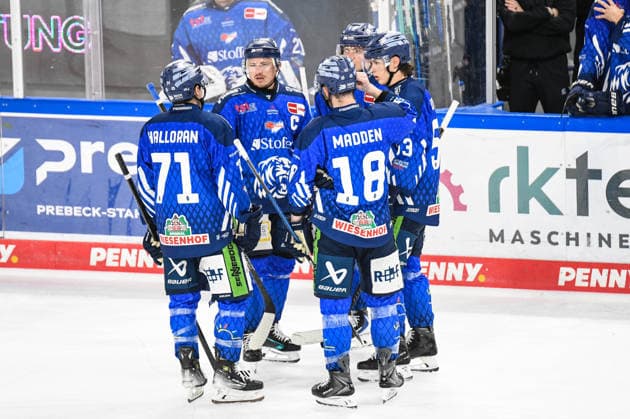 Straubing Tigers vs. Krefeld Pinguine, Eishockey, Deutsche Eishockey Liga, Penny DEL, 1.Spieltag, Saison 2026 2027, 23.09.2026 Nicholas Halloran, Marcel Brandt, Tyler Madden, Mario Zimmermann und Danjo Leonhardt (Straubing Tigers), Eishockey Herren, Deutsche Eishockey Liga, Penny DEL, 1.Spieltag, Saison 2026 2027 am 20.09.2026 im Eisstadion am Pulverturm, Straubing Tigers (blau) gegen Krefeld Pinguine (weiss)