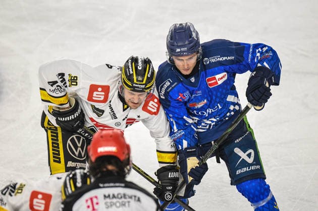 Straubing Tigers vs. Krefeld Pinguine, Eishockey, Deutsche Eishockey Liga, Penny DEL, 1.Spieltag, Saison 2026 2027, 23.09.2026 Nicholas Halloran (Straubing Tigers) beim Bully mit Alexander Weiss (Krefeld Pinguine), Eishockey Herren, Deutsche Eishockey Liga, Penny DEL, 1.Spieltag, Saison 2026 2027 am 20.09.2026 im Eisstadion am Pulverturm, Straubing Tigers (blau) gegen Krefeld Pinguine (weiss)