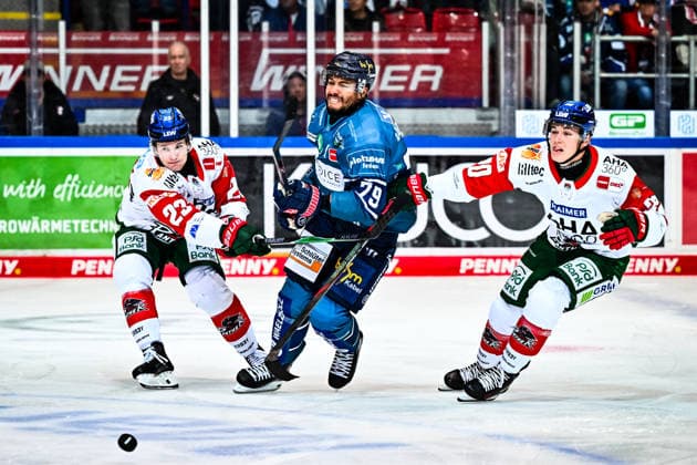 Colin Ugbekile (Iserlohn Roosters, 79) Jimmy Lambert (Augsburger Panther, 23) Philipp Krauß (Augsburger Panther, 20), GER, Iserlohn Roosters vs. Augsburger Panther, Eishockey, Penny-DEL, 3. Spieltag, Spielzeit 2026 2027, 24.09.2026, GER, Iserlohn Roosters vs. Augsburger Panther, Eishockey, Penny-DEL, 3. Spieltag, Spielzeit 2026 2027, 24.09.2026 Iserlohn Copyright: xJonasxBrockmann Eibner-Pressefotx EP_JBN