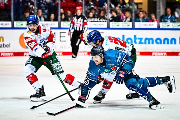 Peter Spornberger (Iserlohn Roosters, 50) Christian Hanke (Augsburger Panther, 25) Fabrizio Pilu (Augsburger Panther, 68), GER, Iserlohn Roosters vs. Augsburger Panther, Eishockey, Penny-DEL, 3. Spieltag, Spielzeit 2026 2027, 24.09.2026, GER, Iserlohn Roosters vs. Augsburger Panther, Eishockey, Penny-DEL, 3. Spieltag, Spielzeit 2026 2027, 24.09.2026 Iserlohn Copyright: xJonasxBrockmann Eibner-Pressefotx EP_JBN