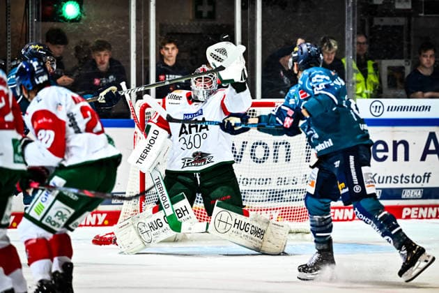 Peyton Jones (Augsburger Panther, 41) haelt den Puck vor Cole Maier (Iserlohn Roosters, 14), GER, Iserlohn Roosters vs. Augsburger Panther, Eishockey, Penny-DEL, 3. Spieltag, Spielzeit 2026 2027, 24.09.2026, GER, Iserlohn Roosters vs. Augsburger Panther, Eishockey, Penny-DEL, 3. Spieltag, Spielzeit 2026 2027, 24.09.2026 Iserlohn Copyright: xJonasxBrockmann Eibner-Pressefotx EP_JBN
