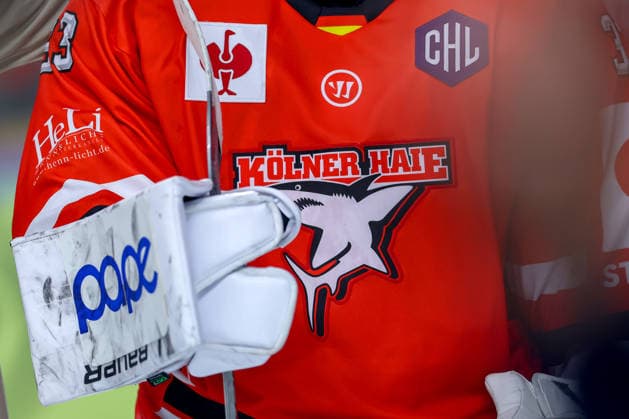 07.10.2026, Eishockey, CHL, Kölner Haie - Blue Fox Herning, Champions Hockey League 2026 27, 5. Spieltag, Saison 2026 27, Lanxess-Arena Köln: Symbolbild Logo Vereinslogo Banner Emblem in Nahaufnahme Trikot Nordrhein-Westfalen Deutschland