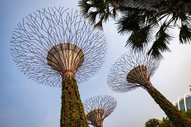 F1 - SINGAPORE GRAND PRIX 2026 Gardens by the Bay, ambiance during the 2026 Formula 1 Singapore Grand Prix, 17th round of the 2026 Formula One World Championship, WM, Weltmeisterschaft from October 9 to 11, 2026 on the Marina Bay Street Circuit, in Singapore, Singapore - SingaporeSingapore Copyright: xJulienxDelfossex