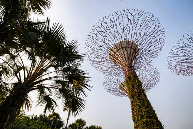 F1 - SINGAPORE GRAND PRIX 2026 Gardens by the Bay, ambiance during the 2026 Formula 1 Singapore Grand Prix, 17th round of the 2026 Formula One World Championship, WM, Weltmeisterschaft from October 9 to 11, 2026 on the Marina Bay Street Circuit, in Singapore, Singapore - SingaporeSingapore Copyright: xJulienxDelfossex