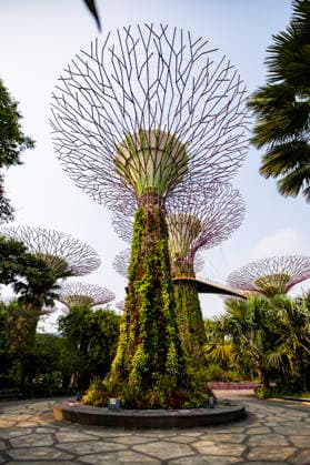 F1 - SINGAPORE GRAND PRIX 2026 Gardens by the Bay, ambiance during the 2026 Formula 1 Singapore Grand Prix, 17th round of the 2026 Formula One World Championship, WM, Weltmeisterschaft from October 9 to 11, 2026 on the Marina Bay Street Circuit, in Singapore, Singapore - SingaporeSingapore Copyright: xJulienxDelfossex