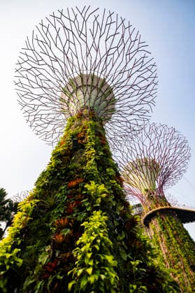 F1 - SINGAPORE GRAND PRIX 2026 Gardens by the Bay, ambiance during the 2026 Formula 1 Singapore Grand Prix, 17th round of the 2026 Formula One World Championship, WM, Weltmeisterschaft from October 9 to 11, 2026 on the Marina Bay Street Circuit, in Singapore, Singapore - SingaporeSingapore Copyright: xJulienxDelfossex