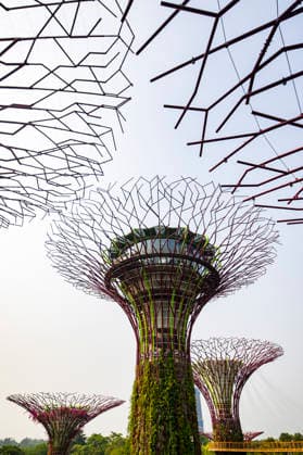 F1 - SINGAPORE GRAND PRIX 2026 Gardens by the Bay, ambiance during the 2026 Formula 1 Singapore Grand Prix, 17th round of the 2026 Formula One World Championship, WM, Weltmeisterschaft from October 9 to 11, 2026 on the Marina Bay Street Circuit, in Singapore, Singapore - SingaporeSingapore Copyright: xJulienxDelfossex