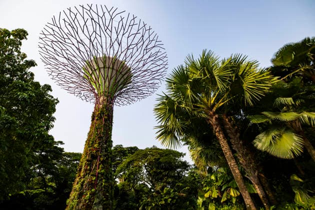 F1 - SINGAPORE GRAND PRIX 2026 Gardens by the Bay, ambiance during the 2026 Formula 1 Singapore Grand Prix, 17th round of the 2026 Formula One World Championship, WM, Weltmeisterschaft from October 9 to 11, 2026 on the Marina Bay Street Circuit, in Singapore, Singapore - SingaporeSingapore Copyright: xJulienxDelfossex