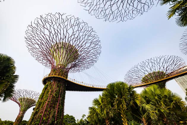F1 - SINGAPORE GRAND PRIX 2026 Gardens by the Bay, ambiance during the 2026 Formula 1 Singapore Grand Prix, 17th round of the 2026 Formula One World Championship, WM, Weltmeisterschaft from October 9 to 11, 2026 on the Marina Bay Street Circuit, in Singapore, Singapore - SingaporeSingapore Copyright: xJulienxDelfossex