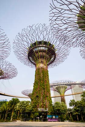 F1 - SINGAPORE GRAND PRIX 2026 Gardens by the Bay, ambiance during the 2026 Formula 1 Singapore Grand Prix, 17th round of the 2026 Formula One World Championship, WM, Weltmeisterschaft from October 9 to 11, 2026 on the Marina Bay Street Circuit, in Singapore, Singapore - SingaporeSingapore Copyright: xJulienxDelfossex