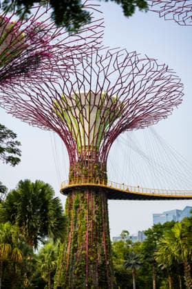 F1 - SINGAPORE GRAND PRIX 2026 Gardens by the Bay, ambiance during the 2026 Formula 1 Singapore Grand Prix, 17th round of the 2026 Formula One World Championship, WM, Weltmeisterschaft from October 9 to 11, 2026 on the Marina Bay Street Circuit, in Singapore, Singapore - SingaporeSingapore Copyright: xJulienxDelfossex