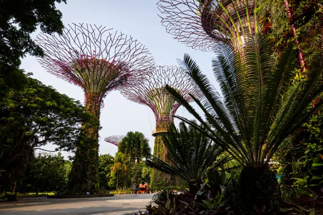 F1 - SINGAPORE GRAND PRIX 2026 Gardens by the Bay, ambiance during the 2026 Formula 1 Singapore Grand Prix, 17th round of the 2026 Formula One World Championship, WM, Weltmeisterschaft from October 9 to 11, 2026 on the Marina Bay Street Circuit, in Singapore, Singapore - SingaporeSingapore Copyright: xJulienxDelfossex