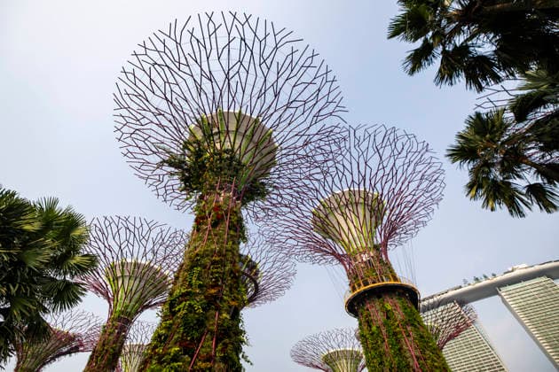 F1 - SINGAPORE GRAND PRIX 2026 Gardens by the Bay, ambiance during the 2026 Formula 1 Singapore Grand Prix, 17th round of the 2026 Formula One World Championship, WM, Weltmeisterschaft from October 9 to 11, 2026 on the Marina Bay Street Circuit, in Singapore, Singapore - SingaporeSingapore Copyright: xJulienxDelfossex