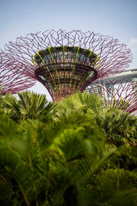 F1 - SINGAPORE GRAND PRIX 2026 Gardens by the Bay, ambiance during the 2026 Formula 1 Singapore Grand Prix, 17th round of the 2026 Formula One World Championship, WM, Weltmeisterschaft from October 9 to 11, 2026 on the Marina Bay Street Circuit, in Singapore, Singapore - SingaporeSingapore Copyright: xJulienxDelfossex