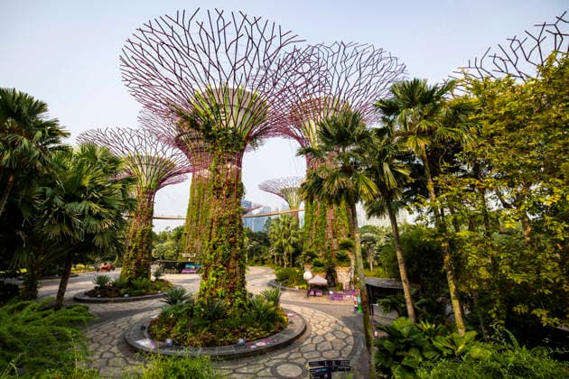 F1 - SINGAPORE GRAND PRIX 2026 Gardens by the Bay, ambiance during the 2026 Formula 1 Singapore Grand Prix, 17th round of the 2026 Formula One World Championship, WM, Weltmeisterschaft from October 9 to 11, 2026 on the Marina Bay Street Circuit, in Singapore, Singapore - SingaporeSingapore Copyright: xJulienxDelfossex