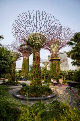F1 - SINGAPORE GRAND PRIX 2026 Gardens by the Bay, ambiance during the 2026 Formula 1 Singapore Grand Prix, 17th round of the 2026 Formula One World Championship, WM, Weltmeisterschaft from October 9 to 11, 2026 on the Marina Bay Street Circuit, in Singapore, Singapore - SingaporeSingapore Copyright: xJulienxDelfossex