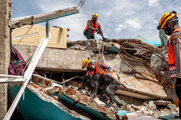Bilder des Jahres 2021, News 01 Januar News Themen der Woche KW03 News Bilder des Tages (210118) -- MAMUJU, Jan. 18, 2021 -- Rescuers and a sniffer dog search in the ruins after a 6.2-magnitude earthquake in Mamuju, West Sulawesi, Indonesia, Jan. 18, 2021. The death toll from a strong earthquake and floods in the central parts of Indonesia has risen to 96, with nearly 70,000 people forced to flee home and take shelter, the National Disaster Management Agency said Monday. A total of 81 people were killed after the 6.2-magnitude quake and the 5.9-magnitude aftershock struck West Sulawesi province on Thursday and Friday, and 15 people were reported dead in South Kalimantan province as floods have hit the province since Jan. 14, the agency s spokesman Raditya Jati said. (Photo by Xinhua) INDONESIA-MAMUJU-EARTHQUAKE-RESCUE Op