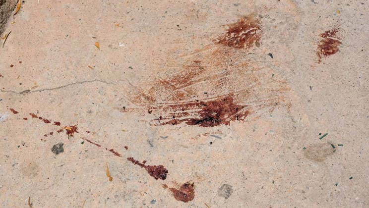 A 25-year-old man arrested for shooting his parents to death in El Ejido Almeria Image of the area known as El Canalillo, near Balanegra, in El Ejido where the event took place whose investigation points to an episode of domestic violence On May 19, 2026 in El Ejido, Almeria Andalusia, Spain A 25-year-old man has been arrested for allegedly shooting his parents to death in El Ejido Almeria and wounding four other people, including their seven-month-old baby and a 21-month-old girl, both of whom are in the pediatric ICU of the Hospital Materno Infantil Princesa Leonor 19 MAY 2026 Europa Press 19 05 2026 El Ejido, Almeria Andalucia, Es El Ejido, Almeria Andalucia, Es Espana Copyright: xEuropaxPressx 7534931