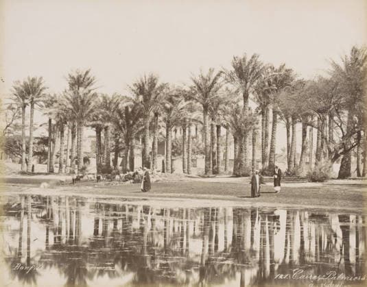 RECORD DATE NOT STATED Men with a herd under the palm trees in Bedrechen near Cairo, Caire, Palmiers a Bedrechen, photograph, Part of a travel album with 80 photos of Egypt., negative number: 121 , photographer: Maison Bonfils, Egypt, c. 1870 - c. 1898, North Africa, pasteboard, paper, albumen print, height 221 mm x width 278 mm, trees: palm-tree, Ottoman Empire, Cairo (city), A wide scene showing a dense row of tall palm trees with textured trunks and feathery fronds along a shoreline, their trunks reflected in the rippling water in the foreground, several figures in long robes standing or walking near the water s edge, a small herd of animals grazing near the trees, patches of low vegetation and scattered bushes between the palms, and a few buildings partly vi Copyright Penta Springs LCK260531_03319