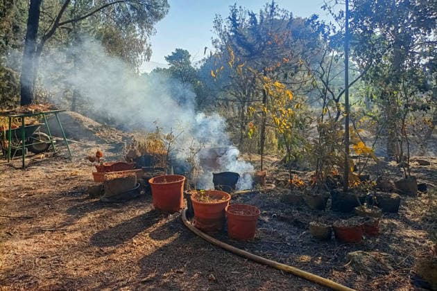 The fire in Burgohondo, Ávila, is progressing as expected, and 50 firefighters from Catar have been deployed. Burned plants at the La Adrada Botanical Garden, as of August 1, 2026, in Ávila, Castile and León, Spain. The regional delegate of the Regional Government in Ávila, José Francisco Hernández Herrero, has stated that the Burgohondo wildfire is progressing as expected and has expressed confidence that it can be brought under complete control in the coming hours or days, although for the time being it remains at Level 2 on the Potential Severity Index (IGR) 2 AUGUST 2026 FIRE NATURAL FIRE BURNT LANDSCAPE CHARRED SMOKE GARDEN TIÉTAR VALLEY LA ADRADA CASAVIEJA PIEDRALAVES La Adrada, Ávila, Castile and León La Adrada, Ávila, Castile and L Copyright: xGabrixSolerax 7698513