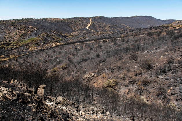 Leo Messi Donates 80,000 Euros for the Reconstruction of Madrid’s Sierra Oeste After the Wildfire View after the wildfire, on August 4, 2026, in Navas del Rey, Madrid, Spain The president of the Community of Madrid, Isabel Díaz Ayuso, announced on Tuesday that soccer player Leo Messi has donated 80,000 euros for the reconstruction of the region’s Sierra Oeste following the wildfire that has scorched nearly 30,000 hectares. The Community of Madrid has launched a website to channel donations from citizens and companies to support those affected by the fires that impacted 17 municipalities in the Sierra Oeste August 4, 2026 FIRE SCORCHED LAND DONATION MESSI NATURE LANDSCAPE SIERRA OESTE MADRID FIRE MADRID HECTAREBURNT TREES BURNT LAND Navas d Copyright: xGabrixSolerax 7701734