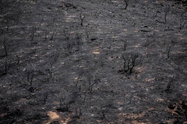 Leo Messi Donates 80,000 Euros for the Reconstruction of Madrid’s Sierra Oeste After the Wildfire View after the wildfire, on August 4, 2026, in Villa del Prado, Madrid, Spain. The president of the Community of Madrid, Isabel Díaz Ayuso, announced on Tuesday that soccer player Leo Messi has donated 80,000 euros for the reconstruction of the region’s Sierra Oeste following the wildfire that has scorched nearly 30,000 hectares. The Community of Madrid has launched a website to channel donations from citizens and companies to support those affected by the fires that impacted 17 municipalities in the Sierra Oeste August 4, 2026 FIRE SCORCHED LAND DONATION MESSI NATURE LANDSCAPE SIERRA OESTE MADRID FIRE MADRID HECTAREBURNT TREES BURNT LAND VILL Copyright: xGabrixSolerax 7701743