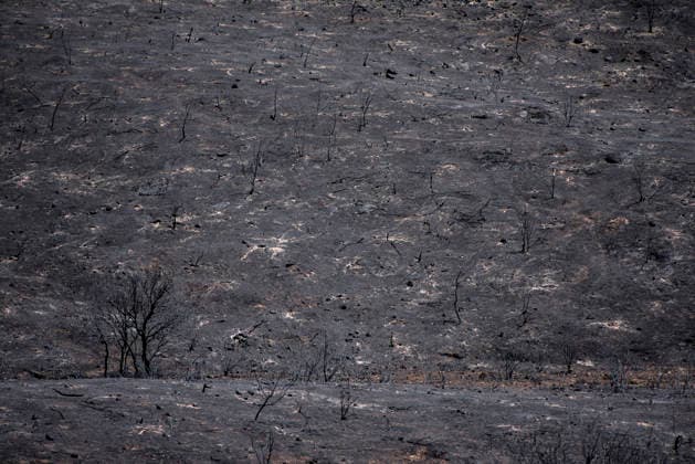 Leo Messi Donates 80,000 Euros for the Reconstruction of Madrid’s Sierra Oeste After the Wildfire View after the wildfire, on August 4, 2026, in Villa del Prado, Madrid, Spain. The president of the Community of Madrid, Isabel Díaz Ayuso, announced on Tuesday that soccer player Leo Messi has donated 80,000 euros for the reconstruction of the region’s Sierra Oeste following the wildfire that has scorched nearly 30,000 hectares. The Community of Madrid has launched a website to channel donations from citizens and companies to support those affected by the fires that impacted 17 municipalities in the Sierra Oeste August 4, 2026 FIRE SCORCHED LAND DONATION MESSI NATURE LANDSCAPE SIERRA OESTE MADRID FIRE MADRID HECTAREBURNT TREES BURNT LAND VILL Copyright: xGabrixSolerax 7701750