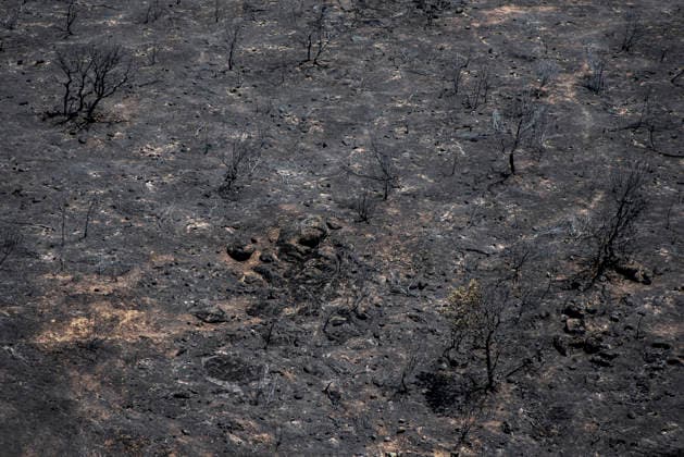 Leo Messi Donates 80,000 Euros for the Reconstruction of Madrid’s Sierra Oeste After the Wildfire View after the wildfire, on August 4, 2026, in Villa del Prado, Madrid, Spain. The president of the Community of Madrid, Isabel Díaz Ayuso, announced on Tuesday that soccer player Leo Messi has donated 80,000 euros for the reconstruction of the region’s Sierra Oeste following the wildfire that has scorched nearly 30,000 hectares. The Community of Madrid has launched a website to channel donations from citizens and companies to support those affected by the fires that impacted 17 municipalities in the Sierra Oeste August 4, 2026 FIRE SCORCHED LAND DONATION MESSI NATURE LANDSCAPE SIERRA OESTE MADRID FIRE MADRID HECTAREBURNT TREES BURNT LAND VILL Copyright: xGabrixSolerax 7701744