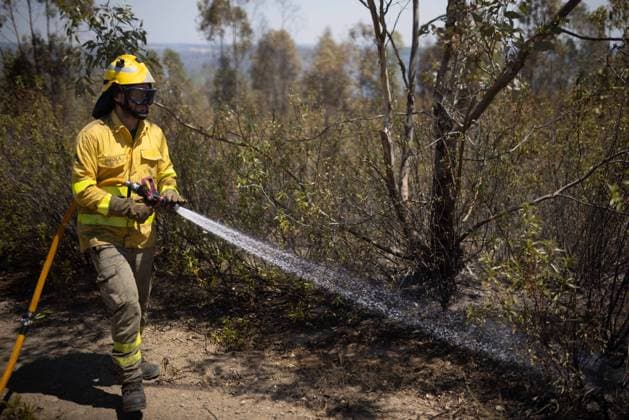 The number of ground personnel fighting the fire in Niebla has increased to 150, with 18 aerial resources. Infoca personnel are battling the wildfire that broke out in the town of Niebla, in Huelva. August 7, 2028, in Niebla, Huelva, Andalusia, Spain: Andalusia’s Forest Fire Emergency Plan (Plan Infoca) has increased the number of ground personnel from 80 to 150 this Friday to contain the forest fire that broke out Thursday afternoon in the Raboconejo area of Niebla, Huelva, which remains in the emergency phase, Operational Level 1, and which has forced the preventive evacuation of 23 residents from the hamlets of Raboconejo and Caballón. Likewise, 18 aerial resources continue to operate in the area. AUGUST 7, 2026 Niebla, Huelva, Andalusi Copyright: xClaraxCarrascox 7705126