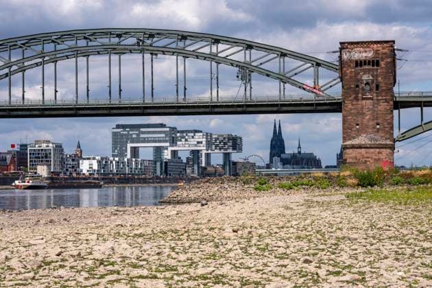 Niedrigwasser im Rhein bei Köln, Blick vom rechtsrheinischen Ufer über die Poller Wiesen, Richtung Norden, Südbrücke, Skyline der Innenstadt mit dem Dom, die Binnenschifffahrt ist stark eingeschränkt, nur wenige Schiffe fahren, dann mit stark reduzierter Ladung, am Tag der Aufnahme war es bis dato der tiefste je gemessener Rheinpegel in Köln, 60 cm, NRW, Deutschland Niedrigwasser Rhein K