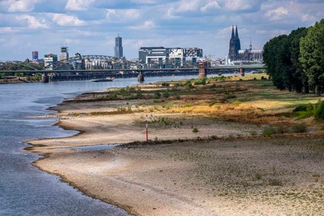 Niedrigwasser im Rhein bei Köln, Blick vom rechtsrheinischen Ufer über die Poller Wiesen, Richtung Norden, Südbrücke, Skyline der Innenstadt mit dem Dom, die Binnenschifffahrt ist stark eingeschränkt, nur wenige Schiffe fahren, dann mit stark reduzierter Ladung, am Tag der Aufnahme war es bis dato der tiefste je gemessener Rheinpegel in Köln, 60 cm, NRW, Deutschland Niedrigwasser Rhein K