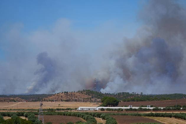The fire in Niebla, Huelva, has now spread across 8,000 hectares and has forced more than 400 people to evacuate The fire in Niebla, Huelva, has now spread across 8,000 hectares and has forced more than 400 people to evacuate As of August 9, 2026 in Niebla, Huelva, Andalusia, Spain The wildfire that broke out this past Thursday in Niebla, Huelva, has now spread across 8,000 hectares, and 474 people remain evacuated. Firefighting efforts this Sunday are focused on the northern and eastern flanks, with the aim of completely enclosing the perimeter, which is estimated at about 44 kilometers. AUGUST 9, 2026 Francisco J Niebla, Huelva, Andalusia, Spain Niebla, Huelva, Andalusia, Spain Spain Copyright: xFranciscoxJ.xOlmox 7707348