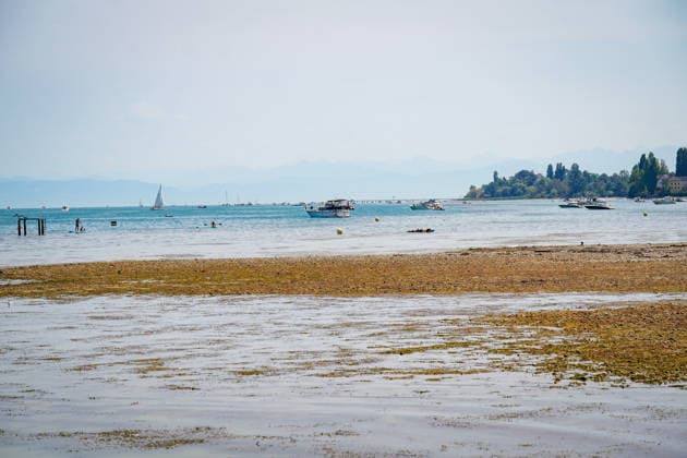 Bodensee bei Bottighofen (Kanton Thurgau), Schweiz: Weitläufige Flachwasserzone und freigelegte Kiesbänke infolge niedrigen Wasserstands am Bodensee. Totale, Niedrigwasser, Bodenseeufer, Kiesbank, Flachwasser, Trockenheit, Dürre, Klimawandel, Hitze, Wetterextreme, Umwelt, Natur, Wasserknappheit, Segelboote, Motorboote, Stand-up-Paddling, Badegäste, Wassersport, Freizeit, Sommer, Alpenpanorama, Schifffahrt, Schweiz, Symbolbild. Copyright: xJOERANxSTEINSIEKx