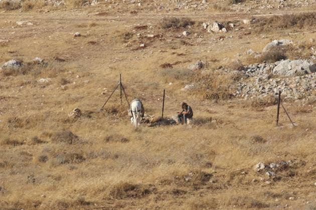 August 10, 2026, Ramallah, Palestine, State of: TAYBEH, PALESTINE †AUGUST 10, 2026: Israeli settlers attacked the Naif al-Kaabneh Bedouin community in the village of Taybeh. The community has been subjected to repeated attacks in recent months. About a month earlier, areas near the village cemetery and the ancient Church of St. George, also known as Al-Khader, were set on fire. The church, dating back to the fifth century AD, is one of the oldest Christian religious sites in Palestine. Taybeh is one of the few remaining Palestinian Christian villages in the occupied West Bank. The latest attack is part of a series of incidents affecting Palestinian communities in and around the village. Ramallah Palestine, State of - ZUMAq101 20260810_zna_q101_067 Copyright: xSalmanxMohsenxAlkhatibx