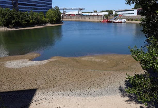 13.08.2026, Deutschland, NRW, Wetter, Hitze, Flüsse, Niedrigwasser, Trockenheit, Durch die Hitze ist das Rhein-Wasser in Düsseldorf extrem gesunken, was für Schiffe immer problematischer wird, ausgetrockneter Boden, Deutschland Copyright: xD.xKerlekin SnowfieldxPhotographyx SF130826RheinD13
