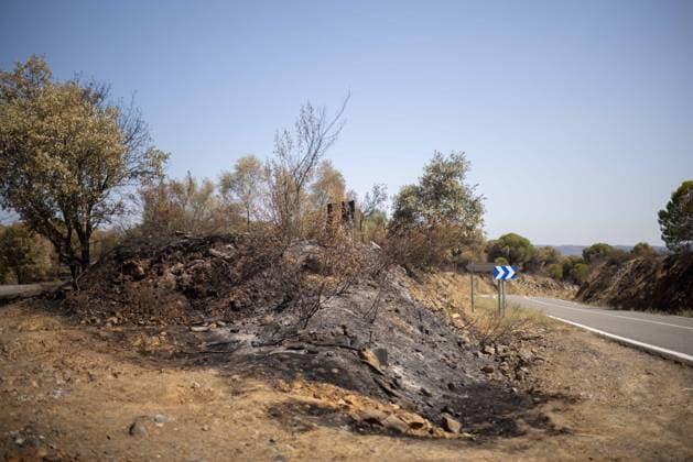 The Niebla Fire Leaves a Devastating Landscape in Berrocal, Huelva The Niebla Fire Leaves a Devastating Landscape in Berrocal, Huelva August 15, 2026, in Berrocal, Huelva, Andalusia, Spain The fire in Niebla, Huelva—which has burned more than 38,000 hectares after raging for over a week— has hit the municipality of Berrocal hard, where the flames have ravaged more than 90% of its municipal territory, leaving a desolate landscape of charcoal and ashes. August 15, 2026, Berrocal, Huelva, Andalusia, Sp Berrocal, Huelva, Andalusia, Sp Spain Copyright: xClaraxCarrascox 7715619