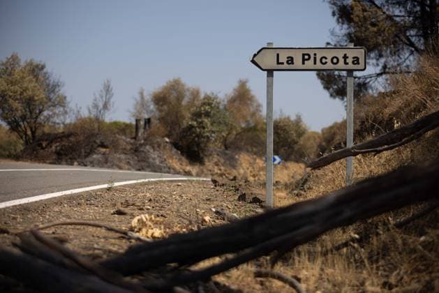 The Niebla Fire Leaves a Devastating Landscape in Berrocal, Huelva The Niebla Fire Leaves a Devastating Landscape in Berrocal, Huelva August 15, 2026, in Berrocal, Huelva, Andalusia, Spain The fire in Niebla, Huelva—which has burned more than 38,000 hectares after raging for over a week— has hit the municipality of Berrocal hard, where the flames have ravaged more than 90% of its municipal territory, leaving a desolate landscape of charcoal and ashes. August 15, 2026, Berrocal, Huelva, Andalusia, Sp Berrocal, Huelva, Andalusia, Sp Spain Copyright: xClaraxCarrascox 7715617
