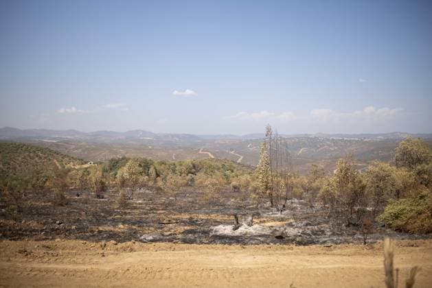 The Niebla Fire Leaves a Devastating Landscape in Berrocal, Huelva The Niebla Fire Leaves a Devastating Landscape in Berrocal, Huelva August 15, 2026, in Berrocal, Huelva, Andalusia, Spain The fire in Niebla, Huelva—which has burned more than 38,000 hectares after raging for over a week— has hit the municipality of Berrocal hard, where the flames have ravaged more than 90% of its municipal territory, leaving a desolate landscape of charcoal and ashes. August 15, 2026, Berrocal, Huelva, Andalusia, Sp Berrocal, Huelva, Andalusia, Sp Spain Copyright: xClaraxCarrascox 7715618