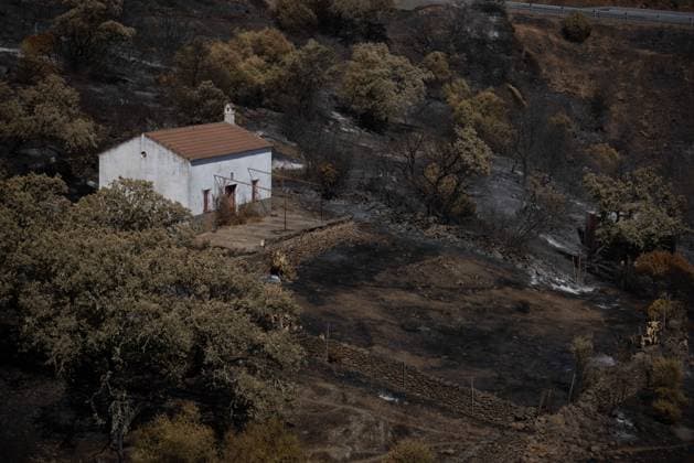 The Niebla Fire Leaves a Devastating Landscape in Berrocal, Huelva The Niebla Fire Leaves a Devastating Landscape in Berrocal, Huelva August 15, 2026, in Berrocal, Huelva, Andalusia, Spain The fire in Niebla, Huelva—which has burned more than 38,000 hectares after raging for over a week— has hit the municipality of Berrocal hard, where the flames have ravaged more than 90% of its municipal area, leaving a desolate landscape of charcoal and ashes. August 15, 2026, Berrocal, Huelva, Andalusia, Sp Berrocal, Huelva, Andalusia, Sp Spain Copyright: xClaraxCarrascox 7715634