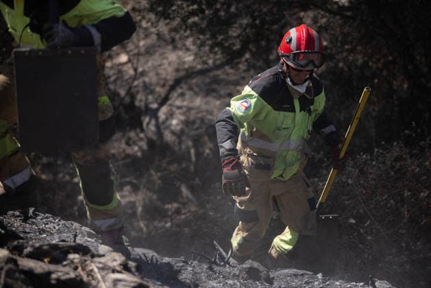 The Niebla Fire Leaves a Devastating Landscape in Berrocal, Huelva Firefighters are battling the Niebla fire in the municipality of Berrocal, Huelva August 15, 2026, in Berrocal, Huelva, Andalusia, Spain The Niebla, Huelva, fire—which has burned more than 38,000 hectares after raging for over a week— has hit the municipality of Berrocal hard, where the flames have ravaged more than 90% of its municipal area, leaving a desolate landscape of charcoal and ashes. August 15, 2026, Berrocal, Huelva, Andalusia, Sp Berrocal, Huelva, Andalusia, Sp Spain Copyright: xClaraxCarrascox 7715645