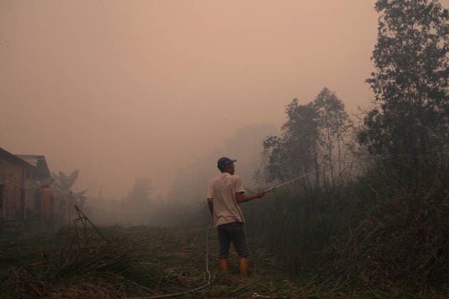 Wildfires fueled by El Nino affect Indonesia PALEMBANG, INDONESIA - SEPTEMBER 16: A man tries to extinguish a wildfire near his home in Sematang Borang district of Palembang, South Sumatra, Indonesia, on September 16, 2026. El Nino conditions are fueling wildfires across Indonesia, with around 113,336 cases of respiratory illness reported, according to health officials. Children under the age of 5 account for 26,545 cases, more than 20% of all recorded acute respiratory infection cases. Around 12.5 million people have been affected by wildfires, according to data from the Indonesian Health Ministry. Muhammad Fajri Anadolu Palembang Indonesia. Editorial use only. Please get in touch for any other usage. Copyright: x2026xAnadoluxMuhammadxFajrix